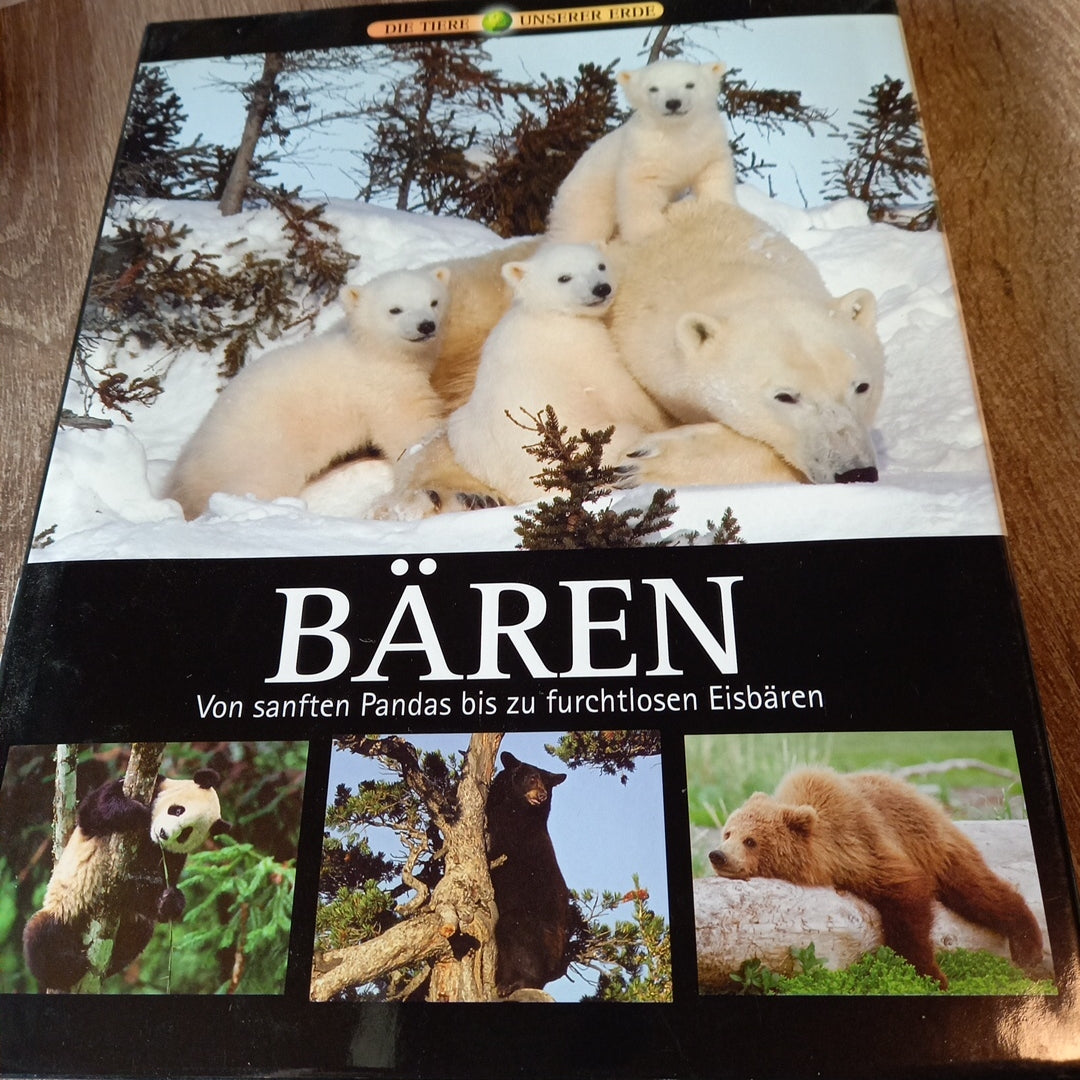 Bären Von sanften Pandas bis zu furchtlosen Eisbären