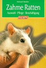 Zahme Ratten. Auswahl, Pflege, Beschäftigung