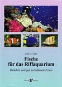 Fische für das Riffaquarium: Beliebte und gut zu haltende Arten