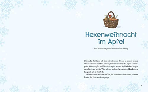 Petronella Apfelmus - Mein weihnachtliches Back- und Bastelbuch