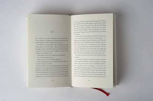 Letzte Rettung: Paris: Roman