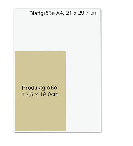 Ritter Constance: Roman | Spannendes Mittelalter-Epos vom »Königspaar der deutschen Bestsellerliste« DIE ZEIT