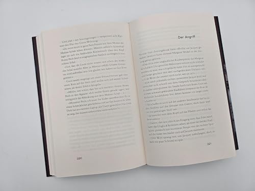 Der Raub im Tunnel (Jacques-Ricou-Reihe 8): Ein Fall für Jacques Ricou | Ein neuer, brisanter Fall für Ricou!