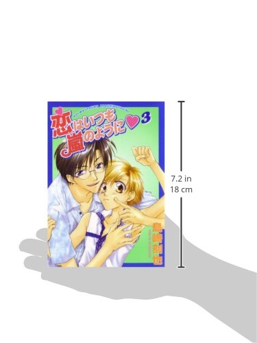 Love Is Like A Hurricane Volume 3 (Yaoi): v. 3 (LOVE IS LIKE A HURRICANE GN)