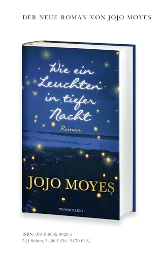 Mein Herz in zwei Welten (Lou, Band 3)