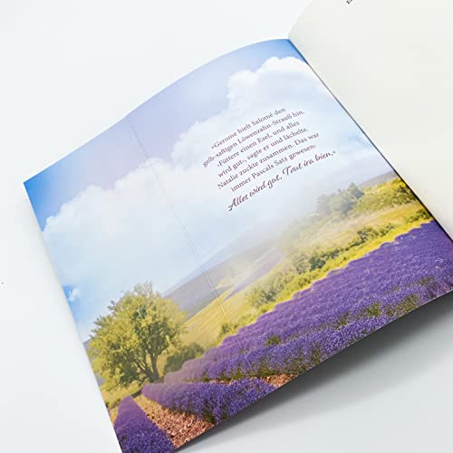 Ein Sommer mit Esel: Roman | Ein atmosphärischer Provence-Roman über Mütter, Töchter und die Liebe