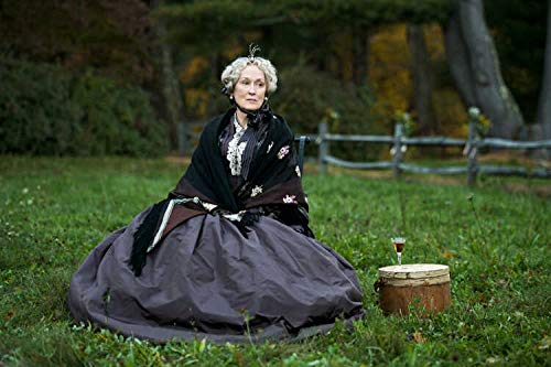 Little Women (2019) (DVD)