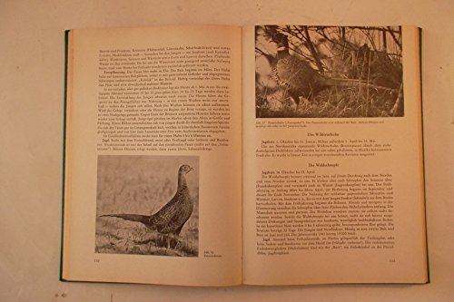 Jagdkunde. Ein Lehrbuch zur Einführung in das Waidwerk.