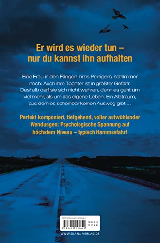 Stille Befreiung: Roman