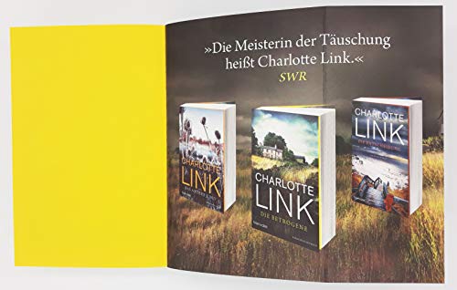 Die Suche: Kriminalroman (Die Kate-Linville-Reihe, Band 2)