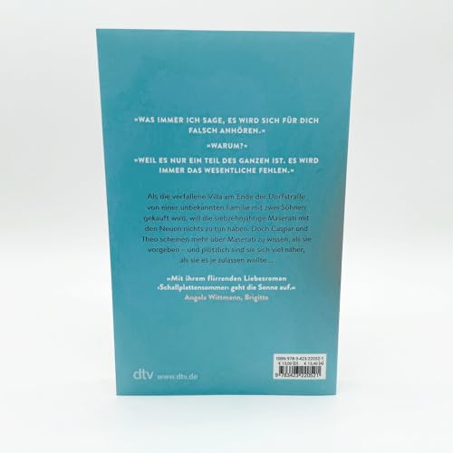 Schallplattensommer: Roman | Atmosphärische Liebesgeschichte der Bestsellerautorin