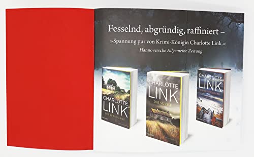 Der Beobachter: Kriminalroman