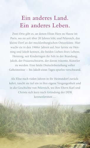 Kastanienjahre: Roman