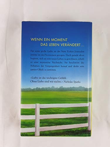 Das Wunder eines Augenblicks: Roman