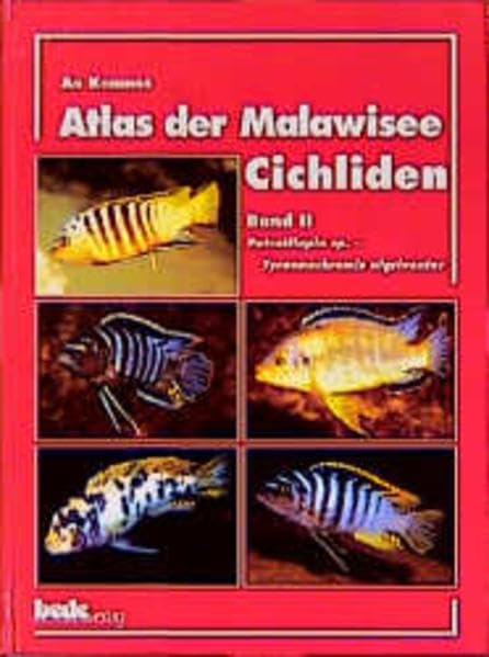 Atlas der Malawisee-Cichliden, Bd.2, Petrotilapia sp. - Tyrannochromis nigriventer