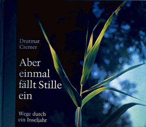 Aber einmal fällt Stille ein: Wege durch ein Inseljahr