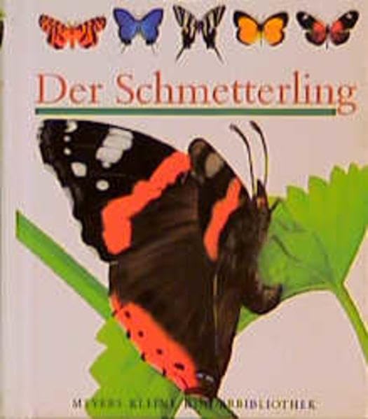 Der Schmetterling (Meyers kleine Kinderbibliothek)