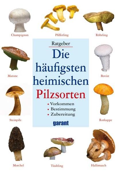 Die häufigsten heimischen Pilzsorten: Vorkommen, Bestimmung, Zubereitung