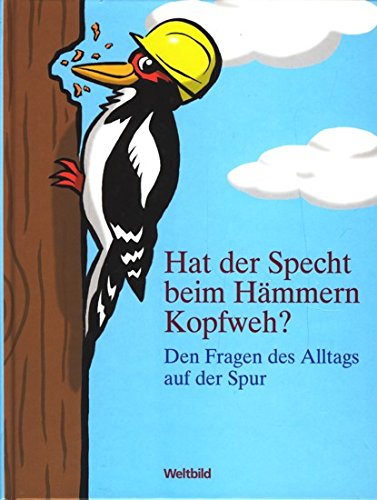 Hat der Specht beim Hämmern Kopfweh? - Den Fragen des Alltags auf der Spur