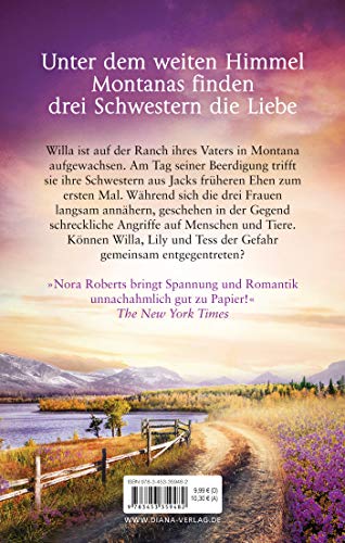 Der weite Himmel: Roman