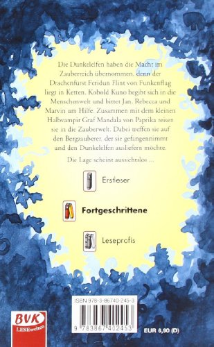 Der Fluch des Bergzauberers: Fantastische Zauberwelten: Fantastische Zauberwelten (Bd. 2)