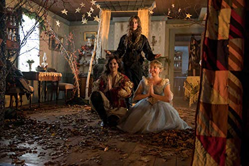 Little Women (2019) (DVD)