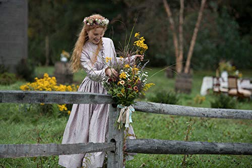 Little Women (2019) (DVD)