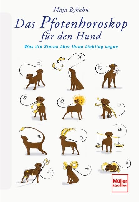 Das Pfotenhoroskop für den Hund: Was die Sterne über Ihren Liebling sagen