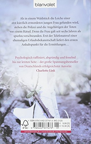 Der Verehrer: Kriminalroman