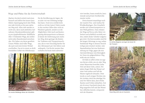 Menschenspuren im Wald: Ein Waldführer der besonderen Art - erkennen, verstehen, einmischen