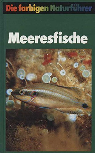 Meeresfische in europäischen Gewässern. Die farbigen Naturführer. Mit 200 farbigen Darstellungen von Fritz Wendler.