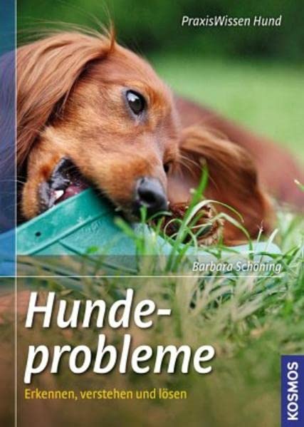 Hundeprobleme: Erkennen, verstehen und lösen