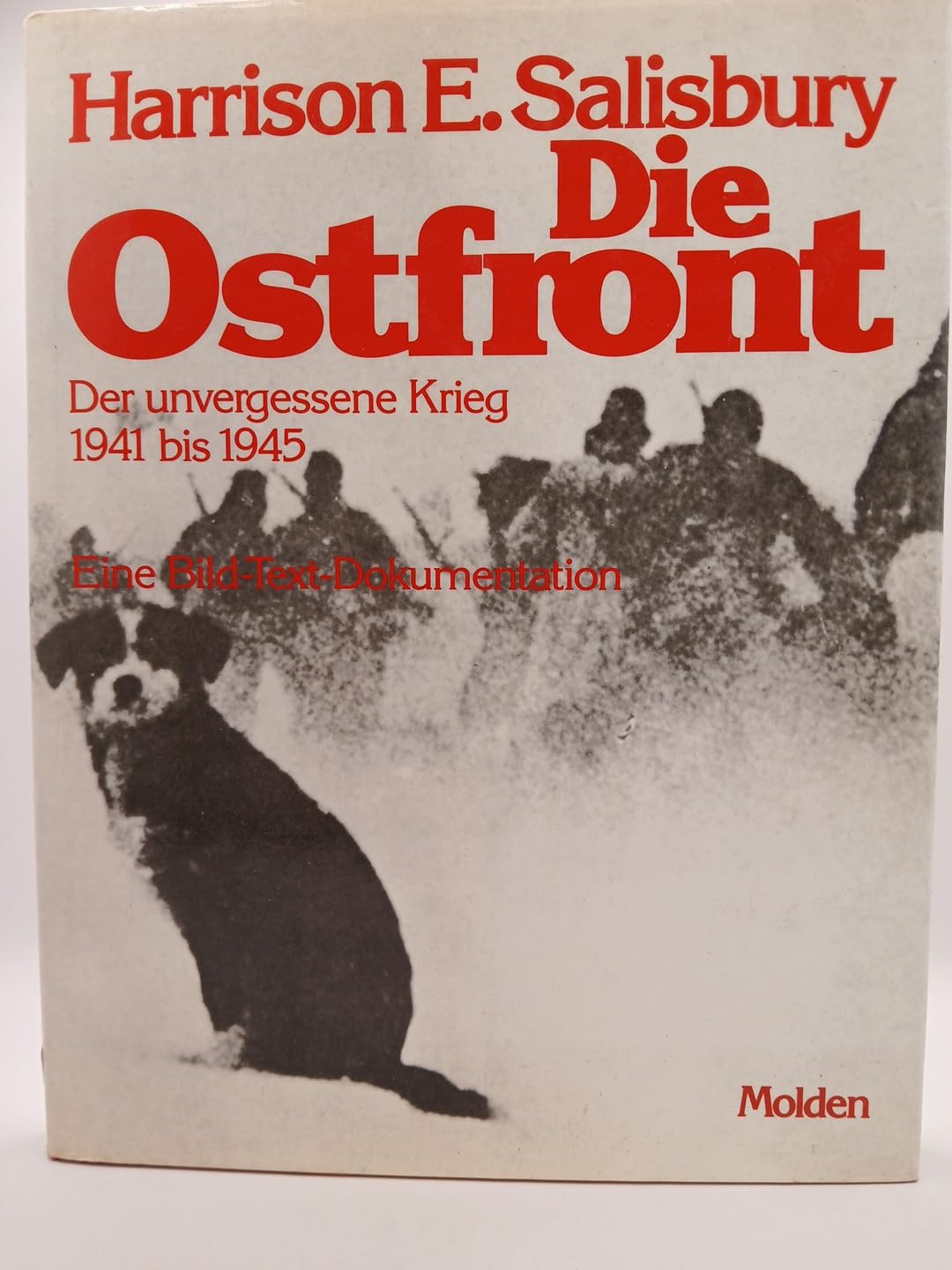 Die Ostfront. Der unvergessene Krieg 1941 - 1945
