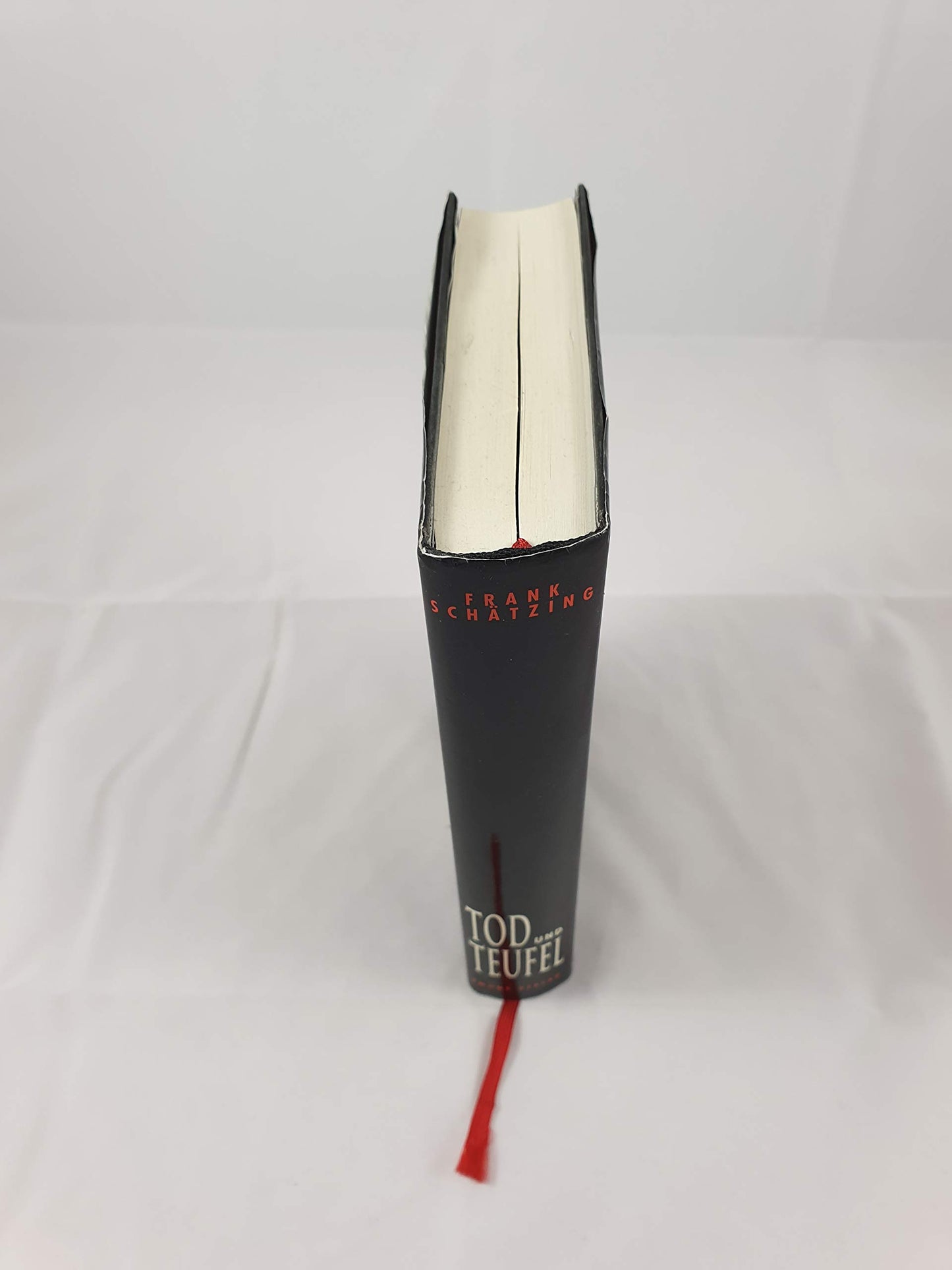 Tod und Teufel: Historischer Krimi