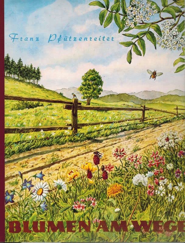 Blumen am Wege