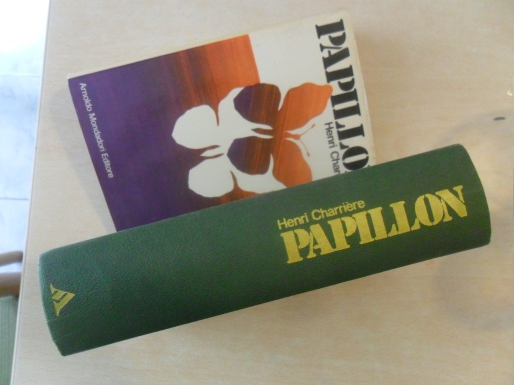 Papillon