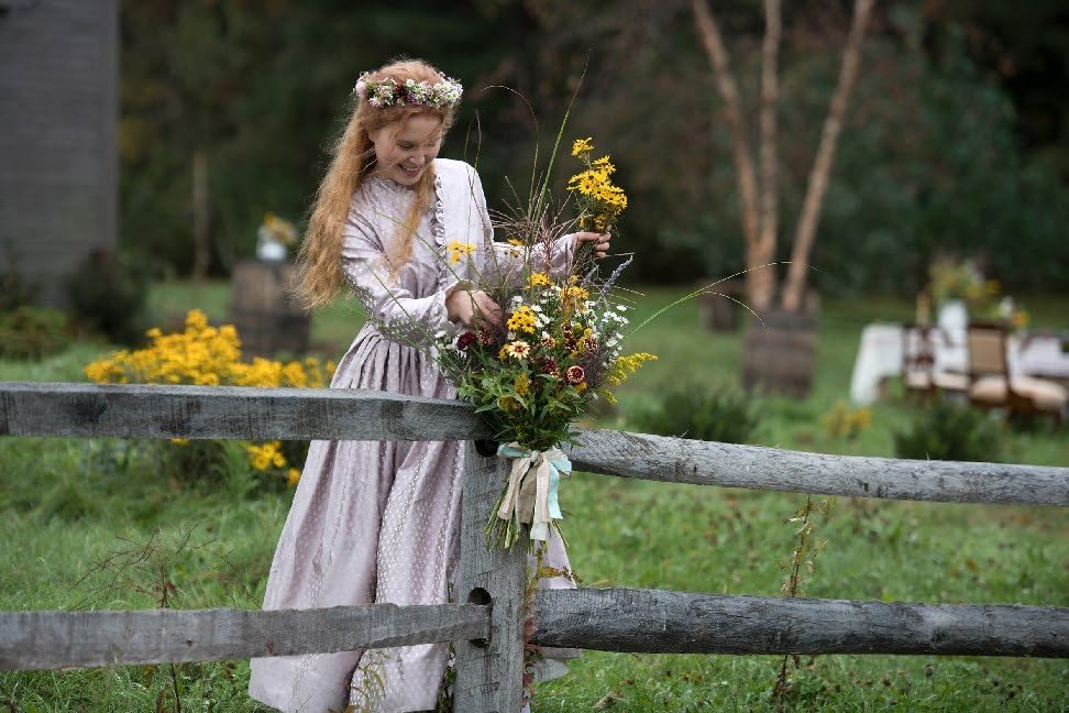 Little Women (2019) (DVD)