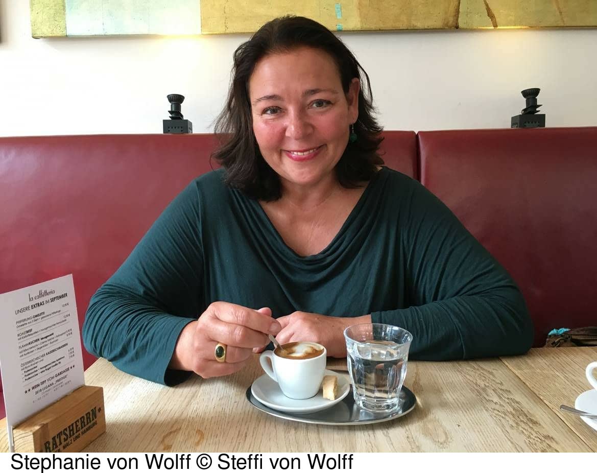 Fräuleinwunder: Goldene Zeiten. Roman (Die Fernsehfrauen, Band 1)