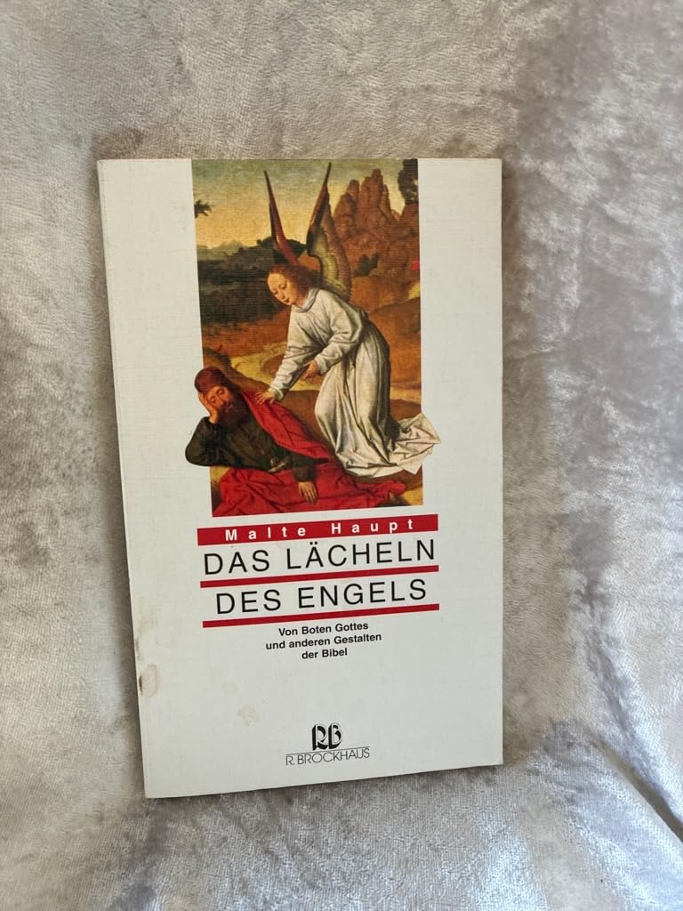 Das Lächeln des Engels: Von Boten Gottes und anderen Gestalten der Bibel (RBtaschenbücher)