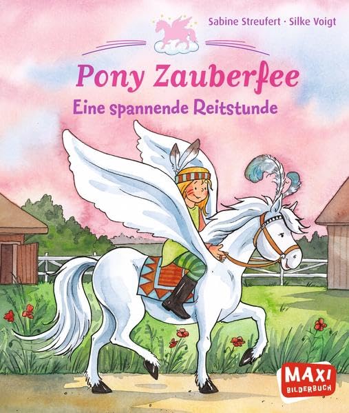 Pony Zauberfee. Eine spannende Reitstunde