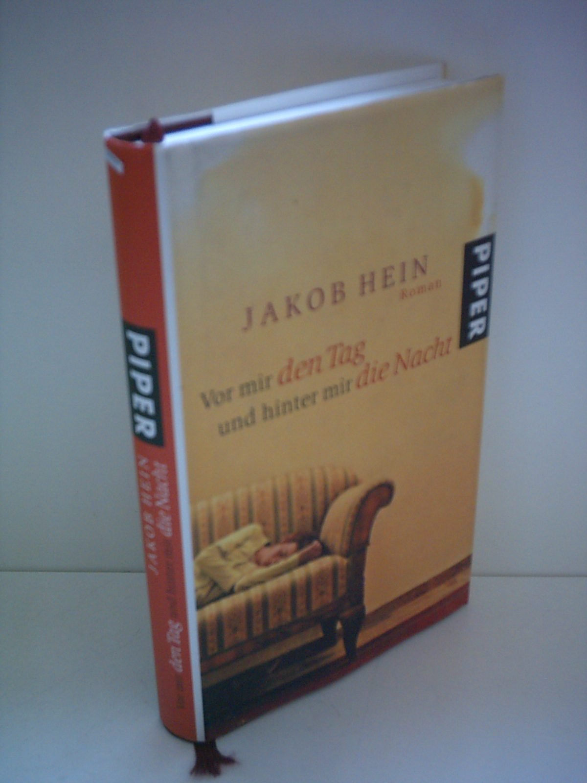 Vor mir den Tag und hinter mir die Nacht: Roman