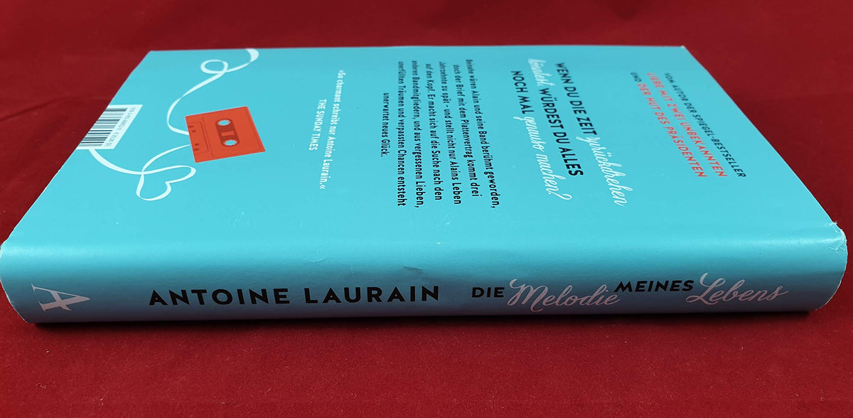 Die Melodie meines Lebens: Roman