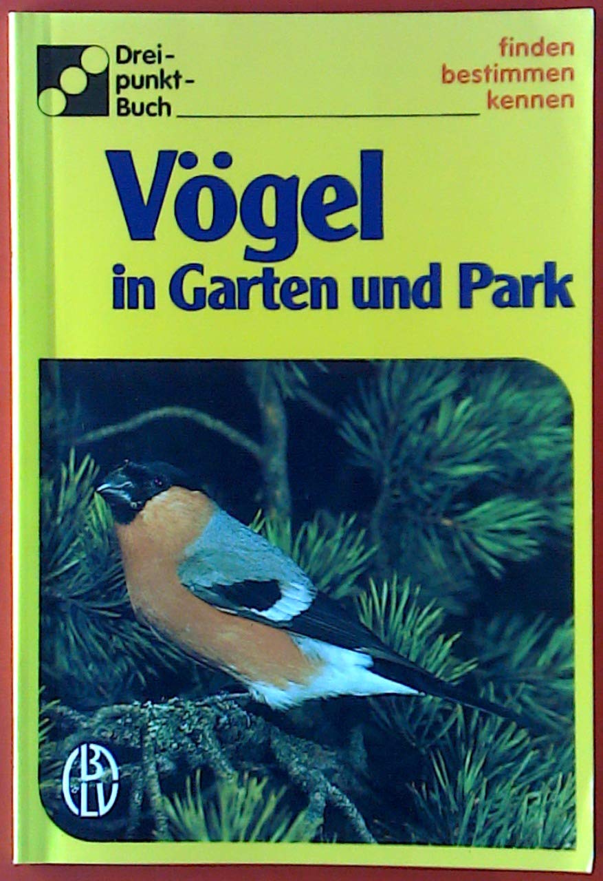 Vögel im Garten und Park