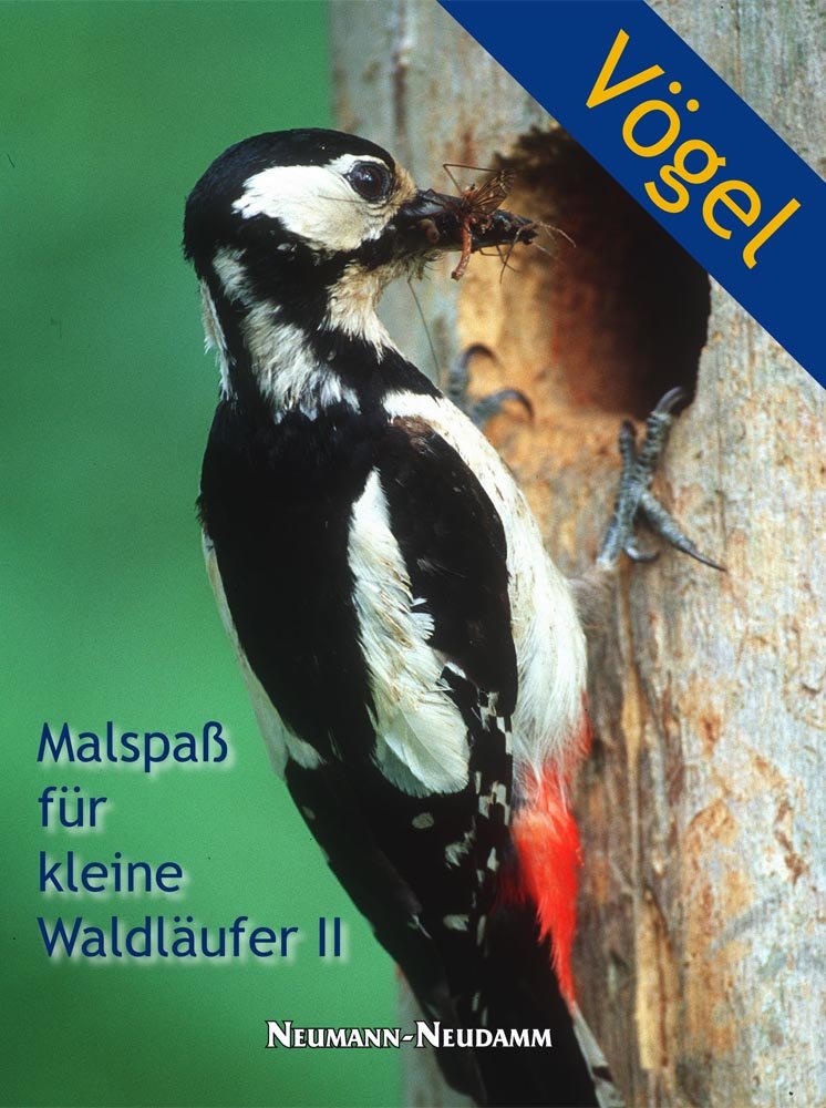 Malspaß für kleine Waldläufer II: Vögel