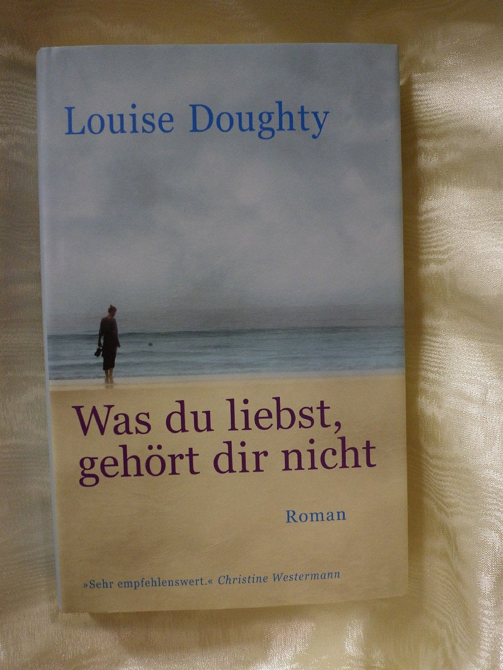 Was du liebst, gehört dir nicht: Roman