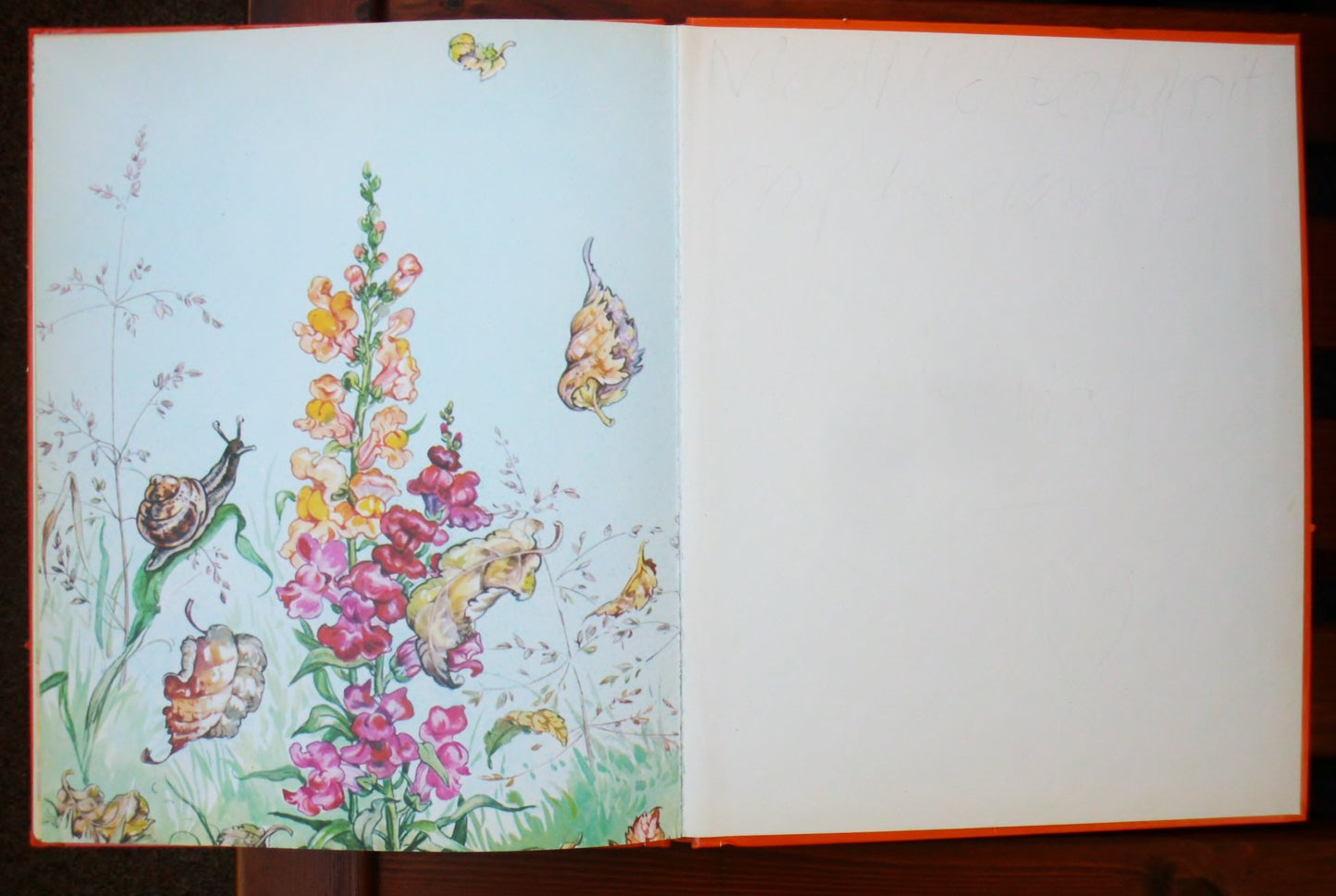 Der Schmetterling. Andersen Märchen