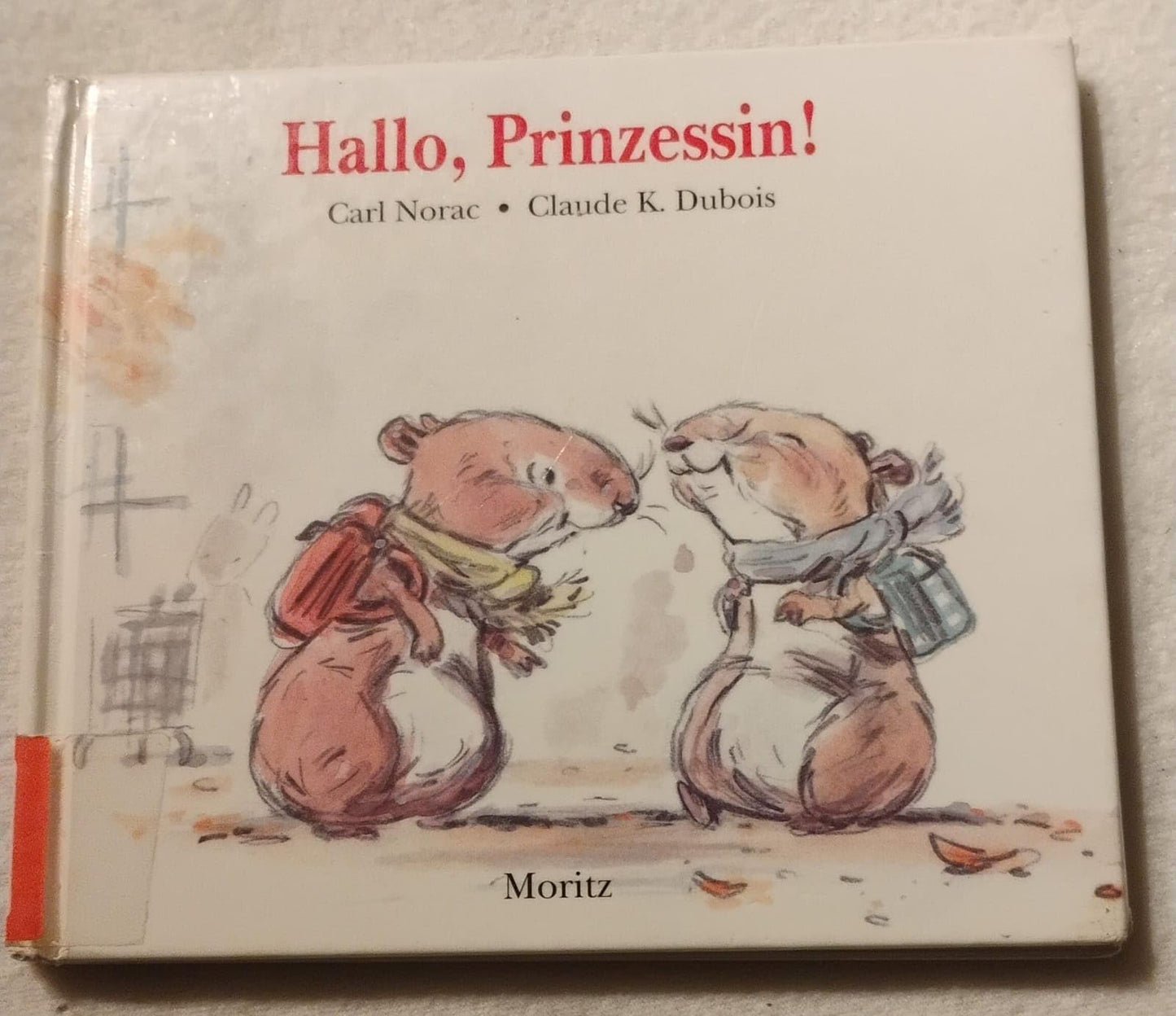 Hallo, Prinzessin!. Farbiges Bilderbuch