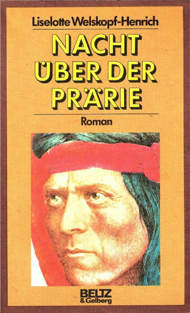 Nacht über der Prärie. Roman (Das Blut des Adlers Band 1)