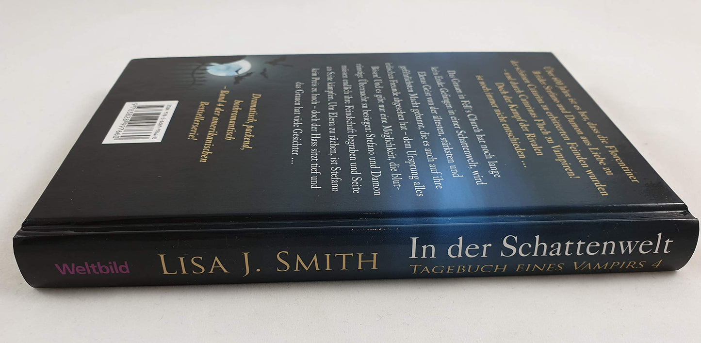 In der Schattenwelt. Tagebuch eines Vampirs 4