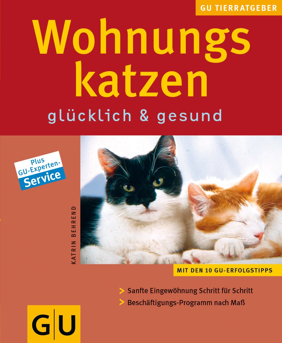 Wohnungskatzen - glücklich und gesund